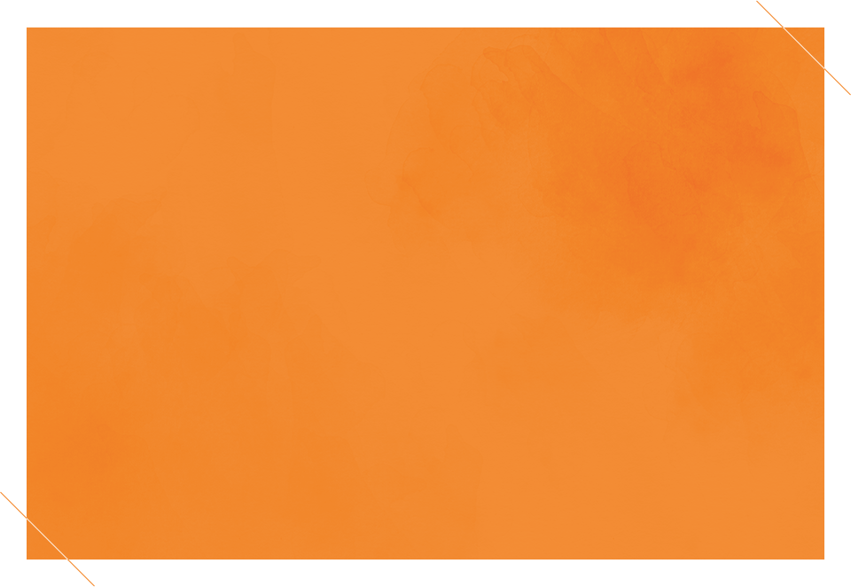 /image/design06_bg2.png