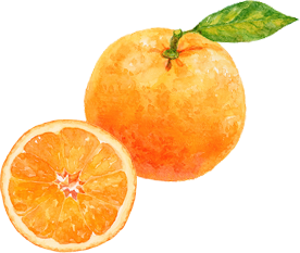 /image/design07_img2.png