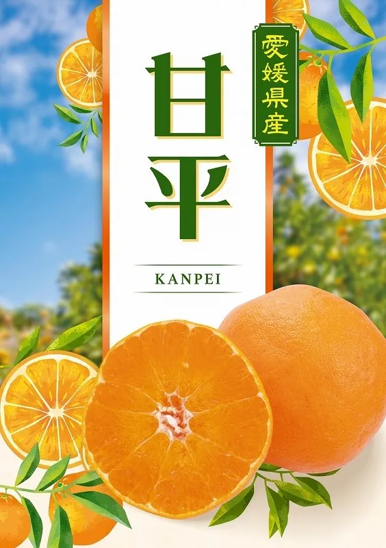 /image/5.jpg