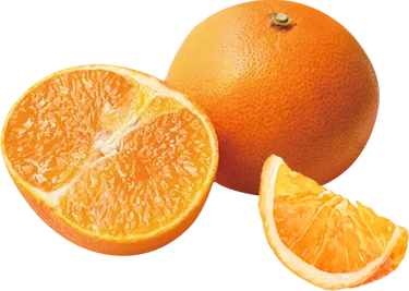 /image/design02_img5.png