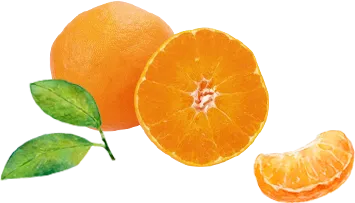 /image/design02_img6.png