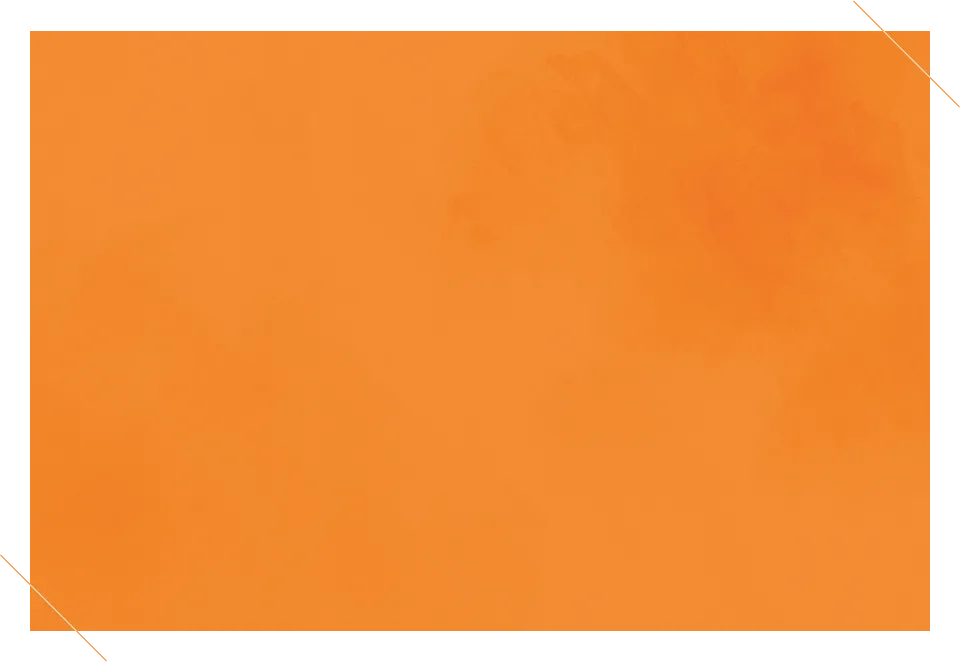 /image/design06_bg2.png