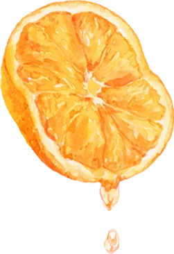 /image/design06_img2.png