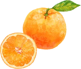 /image/design07_img2.png